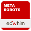 Magento 2 Meta Robots Extension